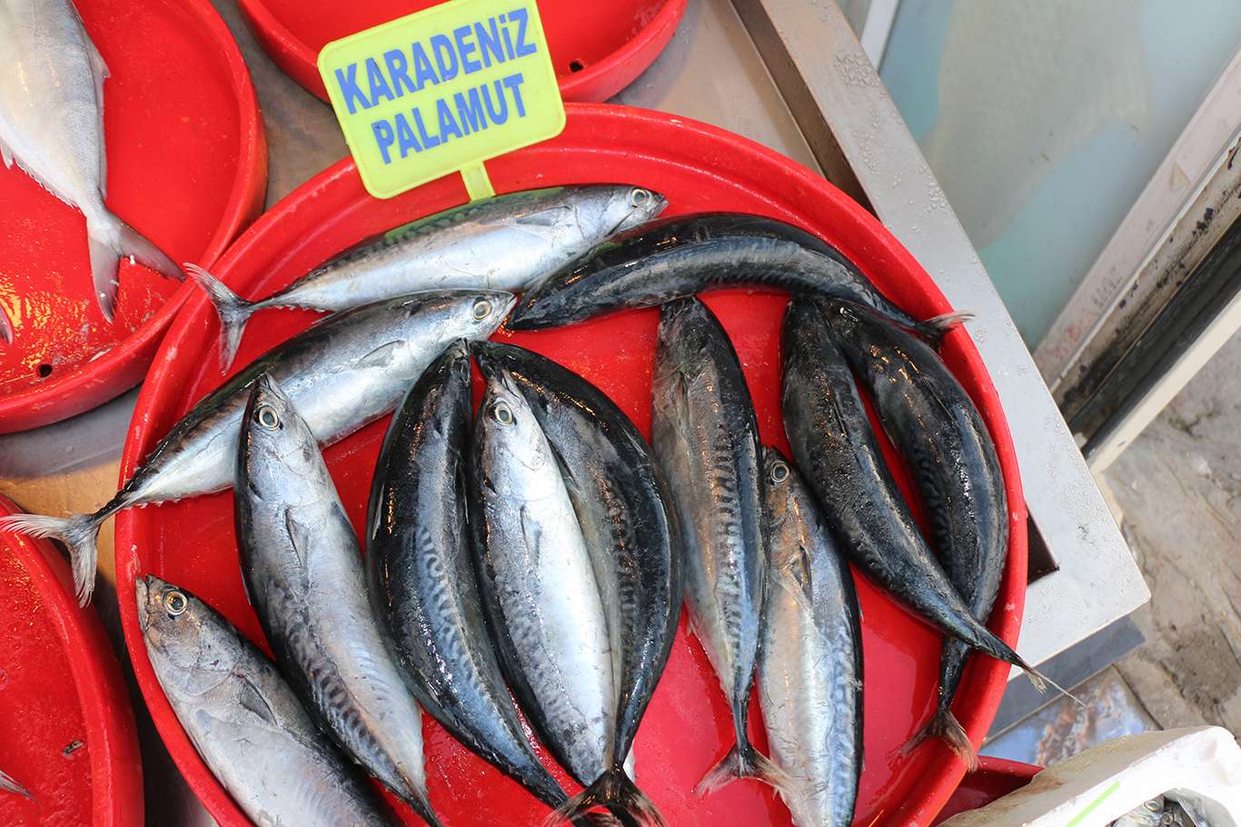 Alıcı ve satıcılar balık fiyatlarından memnun